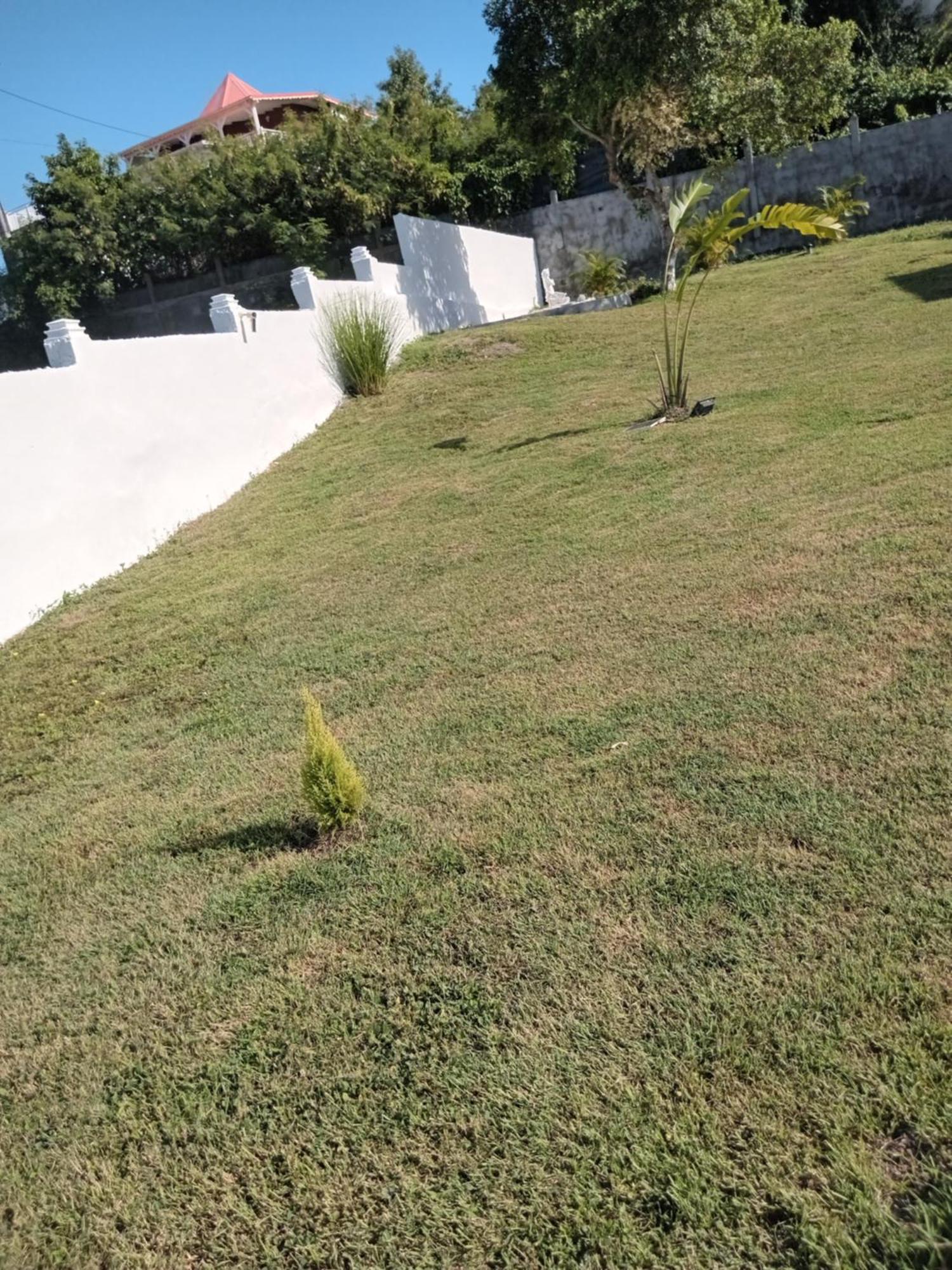 L'Instant Present Bed & Breakfast Le Moule Bagian luar foto